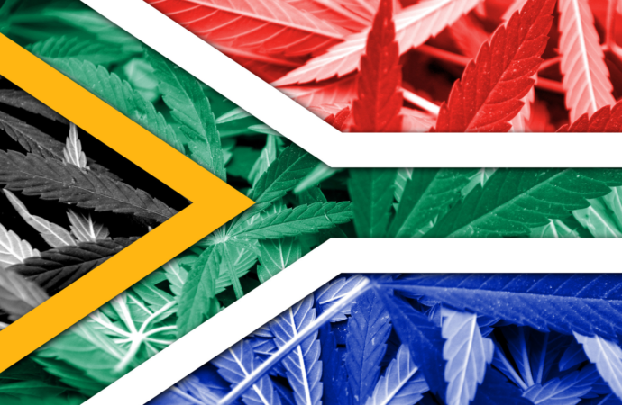 Jihoafrická republika urychlila zavádění zákonů pro konopný průmysl