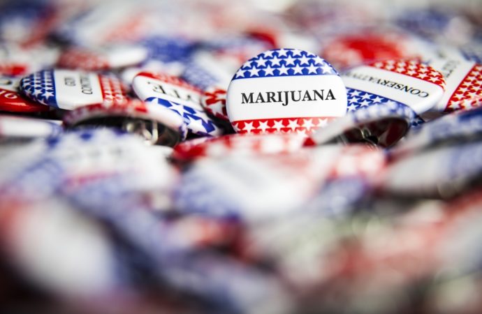 Marijuanamoment.net: Schumer žádá senátory, aby pomohli vytvořit zákon o kompletní legalizaci marihuany v USA