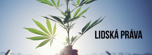 Marijuanamoment.net: Colorado v roce 2021 v prodeji marihuany dosáhlo rekordu!