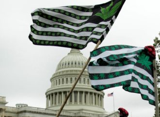 Marijuanamoment.net: Colorado v roce 2021 v prodeji marihuany dosáhlo rekordu!