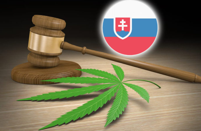 Hlavnespravy.sk: Lehotský – Návrh OLENO na změny trestů za marihuanu na Slovensku není dostatečný