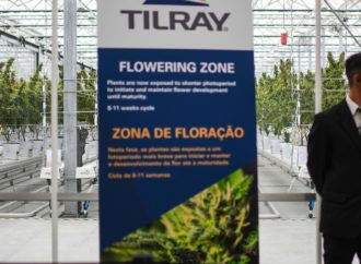 Tilray Brands získává 40 % podílu na kanadském trhu s konopnými nápoji