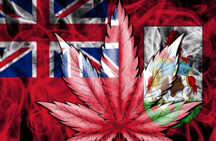 Boj za legalizaci konopí na Bermudách