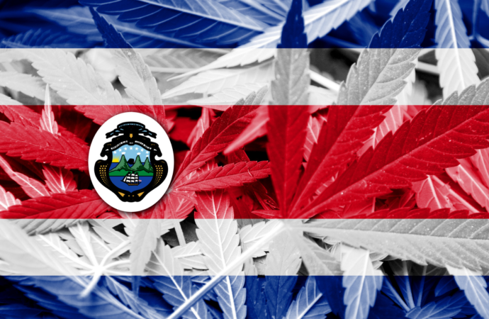 Kostarika se také přidává k legalizaci léčebného konopí