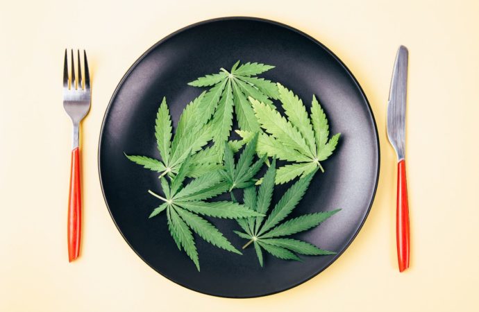 e15.cz: Cannabis na talíři, aneb vaření s trávou dávno není doménou kuřáků