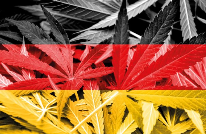 Herbalus.cz: Marihuana a CBD v Německu – právní status v roce 2022