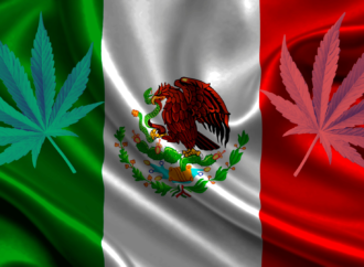 Bude mít Nové Mexiko 1. dubna dostatek Cannabis na zahájení prodeje pro dospělé?