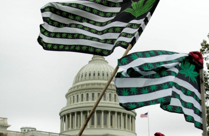 Sněmovna reprezentantů USA bude příští týden hlasovat o kompletním odstranění marihuany ze zakázaných látek