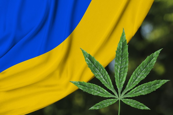 Zdá se, že Ukrajina legalizuje léčebné konopí