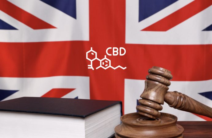 Cannabishealthnews.co.uk: Vláda Spojeného království přijímá doporučení ACMD pro produkty CBD