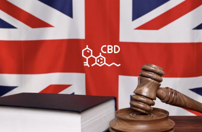 Povede Britský zásah proti CBD ke zvýšení kvality produktů?