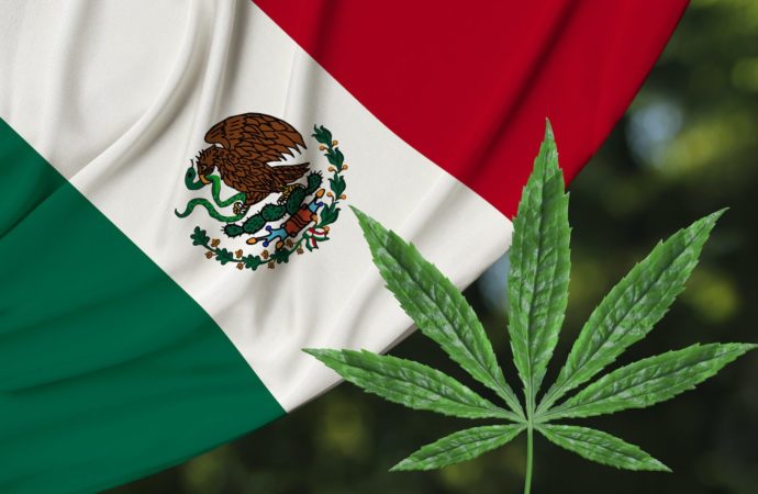 Nové Mexiko zahájilo v pátek legální prodej marihuany!