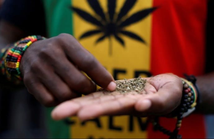 Burzovnisvet.cz: Zimbabwe chce přejít na konopí, protože poptávka po tabáku klesá