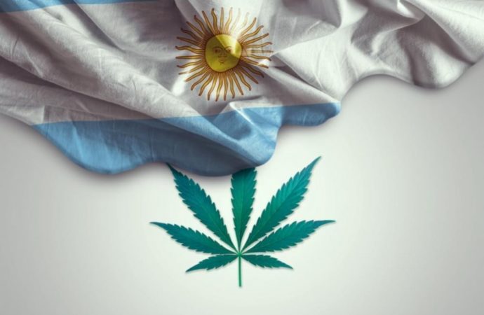 Argentina povoluje neziskovým organizacím pěstovat léčebné konopí uvnitř i ve venkovním prostředí