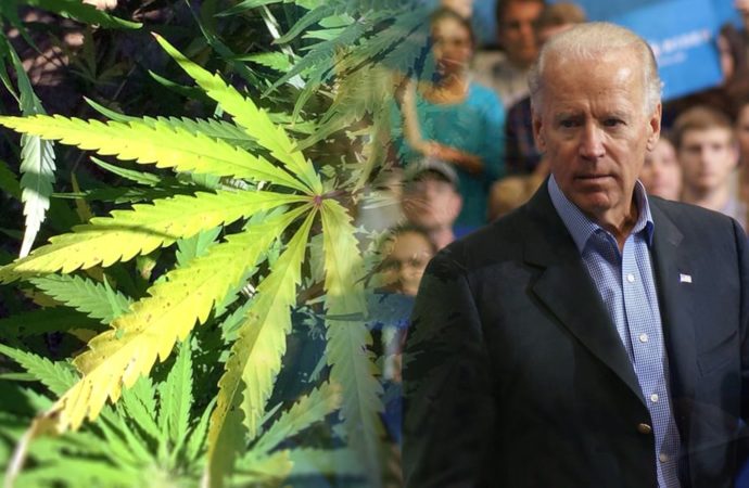 Ommercato.com: Je nepravděpodobné, že by Biden vetoval návrh zákona o marihuaně podporovaný Senátem navzdory vágnímu postoji