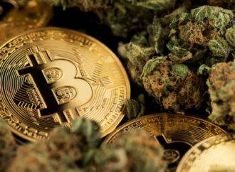 Investing.com: V důsledku potenciálních lepších změn přístupu k marihuaně, odvětví zaznamenalo posílení důvěry investorů