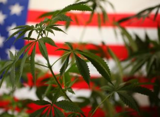 Hightimes.com: Washingtonští zákonodárci vyškrtli slovo „Marihuana“ ze státního označení pro konopí