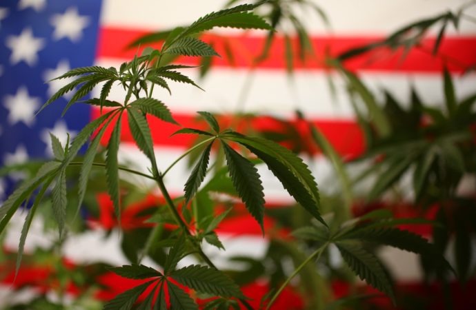 USA – Guvernérka NY Kathy Hochul zavedla na otevření nových licencovaných obchodů s marihuanou program půjček ve výši 5 milionů dolarů
