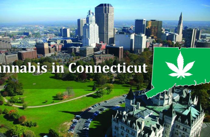 Hightimes.com: V Connecticutu bylo podáno více než 15 000 žádostí na prodejny s konopím