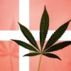 Dánské společnosti zabývající se léčebným konopím přilákaly finanční prostředky ve výši 217 milionů dolarů