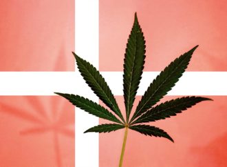 Dánské společnosti zabývající se léčebným konopím přilákaly finanční prostředky ve výši 217 milionů dolarů