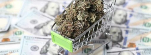 Analytici odhadují letošní tržby Aurora Cannabis ve výši 171,51 milionu dolarů