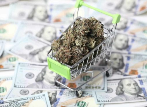 Americké Cannabis společnosti přinášejí právní výzvu proti federální prohibici