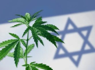 Izrael vydal na léčebné konopí možnost certifikace “košér”