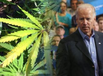 Benzinga.com: Bidenovy naděje na znovuzvolení posíleny podporou mládeže pro reformu Cannabis