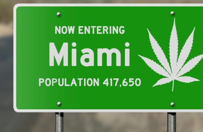 Mjbizdaily.com: Miami po letech zdržování schválilo výdej léčebného konopí