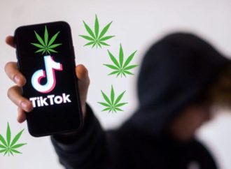 Americký státní úřad pro správu konopí (OCM) žádá TikTok, aby zrušil zákaz pro reklamy obsahující slovo „konopí“