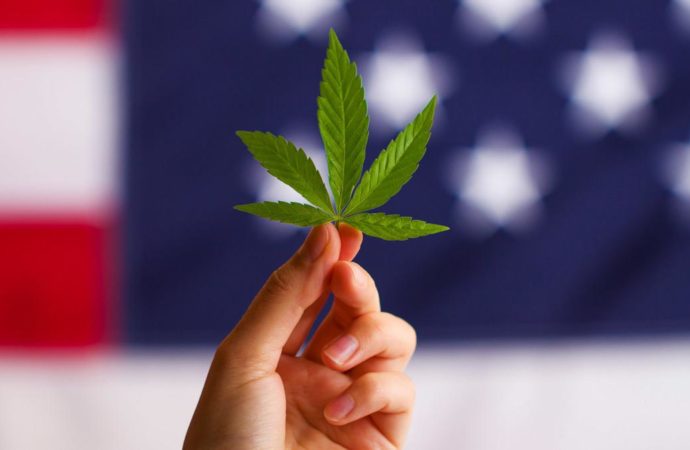 Cannabislegalizationnews.com: Proč Američané stále více podporují legalizaci konopí?