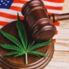 Federální zatýkání za marihuanu v USA klesá, legalizuje ji více států
