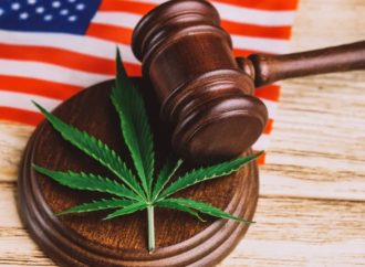 Federální zatýkání za marihuanu v USA klesá, legalizuje ji více států