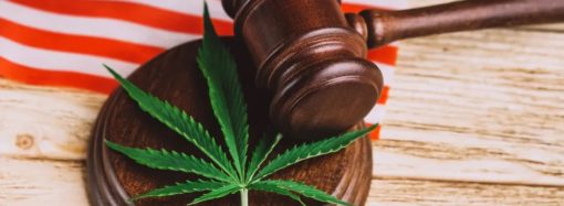 Benzinga.com: Havajský zákon o legalizaci marihuany, horké téma na výstavě Cannabis Expo, „je to nevyhnutelné“, říká senátor (Video)