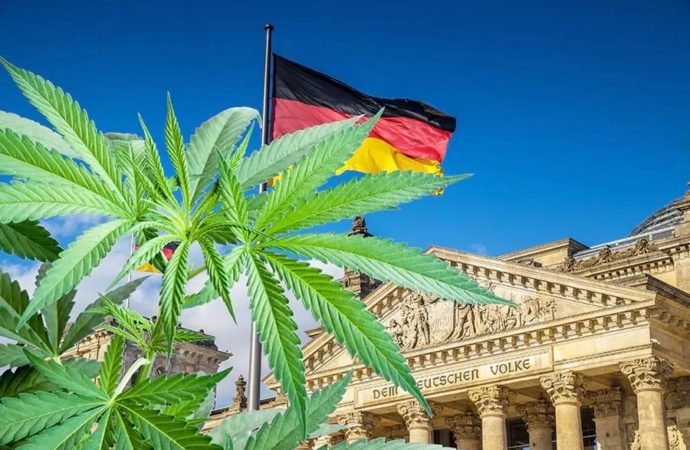 Seznamzpravy.cz: Německo je na cestě k legalizaci marihuany