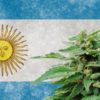Argentina novým zákonem podpořila svůj vzrůstající konopný průmysl