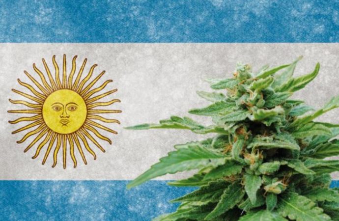 Argentina novým zákonem podpořila svůj vzrůstající konopný průmysl