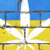 Kopac.cz: Ukrajina dekriminalizuje léčebné konopí, příjemně překvapila zastánce a pacienty