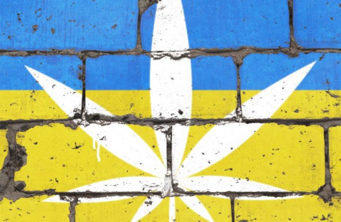 V ukrajinském parlamentu prošel prvním čtením návrh zákona o legalizaci léčebného konopí