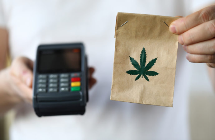 Echo24.cz: Legální marihuana? Vláda plánuje zavést regulovaný prodej konopí