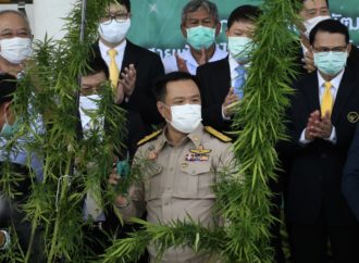 3.nhk.or.jp: Thajští zákonodárci chtějí zpřísnit omezení týkající se marihuany (Video)