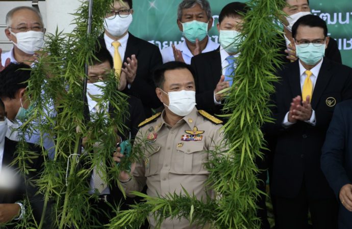 Bangkokpost.com: Odsouzení lidé za konopí jsou v Thajsku připraveni na propuštění