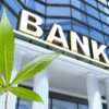 USA – Banka bude poskytovat finanční služby pro americký konopný průmysl