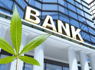 USA – Banka bude poskytovat finanční služby pro americký konopný průmysl