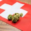 Švýcarská federální rada zrušila zákaz léčebného konopí