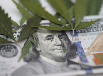 Analytici odhadují letošní tržby Aurora Cannabis ve výši 171,51 milionu dolarů