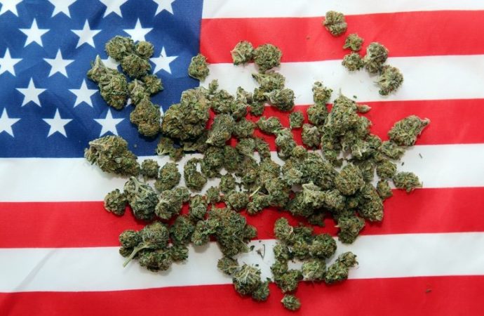 Americký Cannabis Spot Index (VO cena) se snížil o 1,0 % na 977 USD za libru.