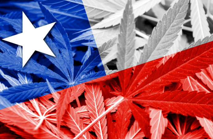 Chile: Nový zákon proti obchodu s drogami povoluje užívání léčebného konopí 
