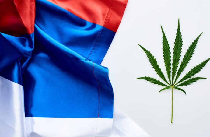 Rusko: Užívají Rusové marihuanu?